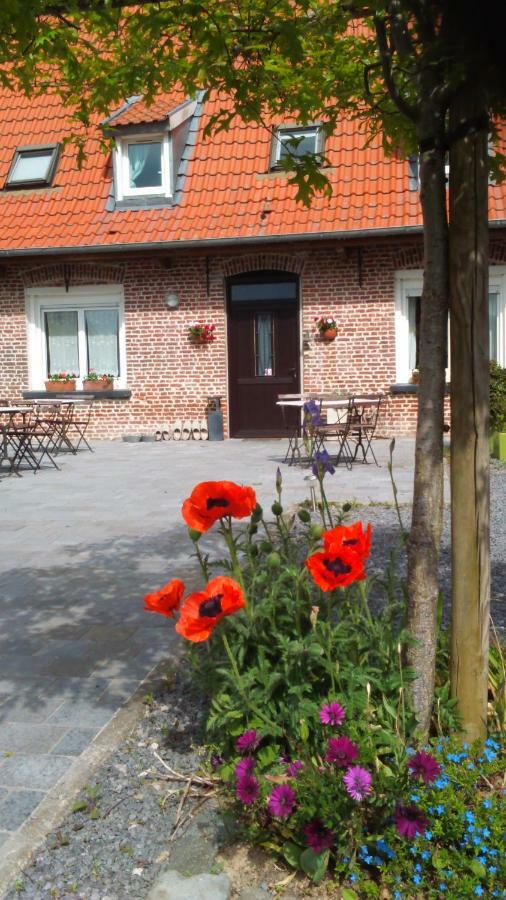 La Ferme De La Papote Bed & Breakfast Morbecque Ngoại thất bức ảnh